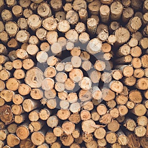 Stacked of wood log for construction buildings background