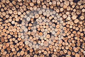 Stacked of wood log for construction buildings background