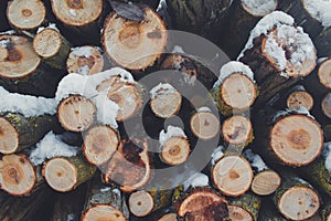 Stacked wood. Pile of small logs covered with snow. Tree trunks in forest during winter