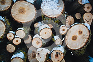 Stacked wood. Pile of small logs covered with snow. Tree trunks in forest during winter