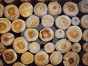 Stacked wood texture for background. Pile of wood logs ready for winter - landscape exterior.