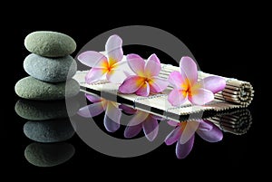 Stacked Zen stones Frangipani flowers