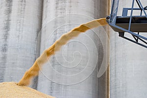 Stacking corn