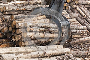 Stacking of logs