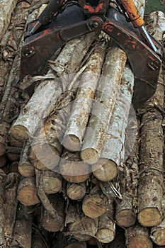 Stacking of logs