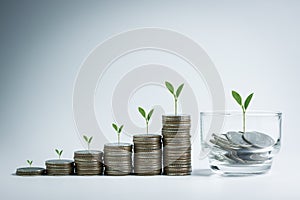 Stacking of money coins and a glass jar with plants growing on top for business, financial, accounting, banking