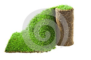 Grass Carpet Roll