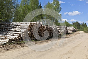 Stacks of birch logs close to the country road. Road in Verhovazhskom district Vologda region