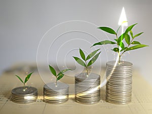 Stacks of coins, money, with plants sprout on top. Investment saving progress. Wealth growing step by step. Finane and accounting