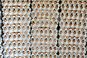 Stacks of eggs in trays