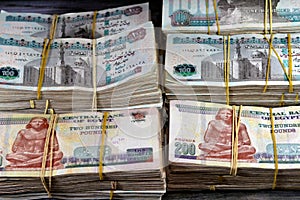 Stacks of Egypt money banknote bills EGP LE thousands of Pounds currency banknotes bill, Egyptian money exchange rate and economy