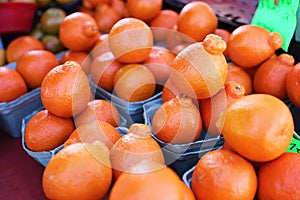 Stacks of Fresh Ripe Tangelo Oranges at the Farmers Market photo