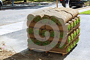 stacks of sod rolls for new lawn