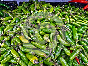 Stacks of Green Cayenne Pepper