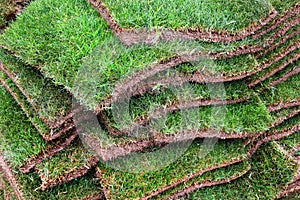 Stacks of green sod patches, used for grass lawn making