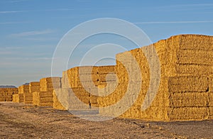 Stacks of Hay