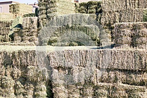 Stacks of hay