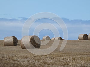 stacks of hay bales in the field against the sky