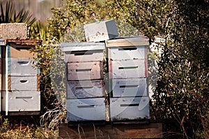 Stacks of langstroth bee hives with honeybees flying