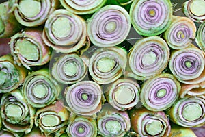 Stacks layer of lemon grass or cymbopogon citratus patterns on background