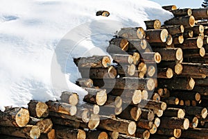 Stacks of logs cut by loggers