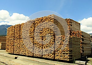 Stacks of lumber at saw mill 