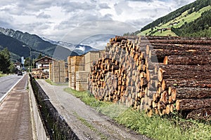 Stacks of lumber in a sawmill