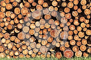 Stacks of lumber in a sawmill