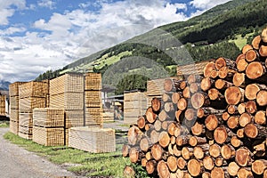 Stacks of lumber in a sawmill