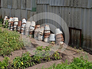 Stacks of many old rusty, leaky buckets along the slate wall in the garden.