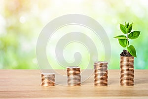 Stacks of money coins and green sprout. Financial growth, profit increase, investments and sustainable business development