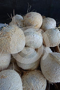 Stacks of Raw Coconuts against a Black Background