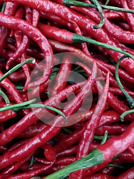 Stacks of red chilies in the supermarket