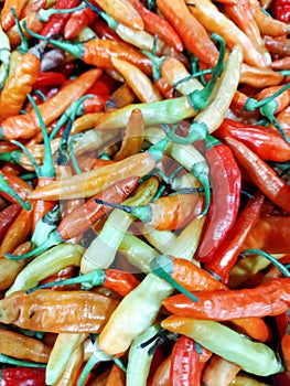 Stacks of red, green and yellow chilies in the supermarket