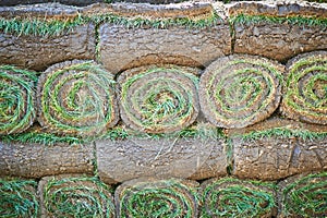 Stacks of sod rolls for new lawn