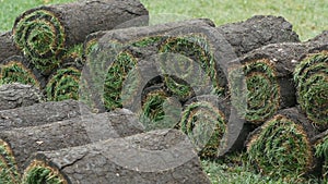 Stacks of sod rolls for new lawn