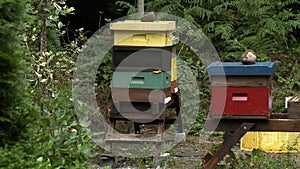 Stacks Of Stacked Honey Supers