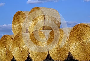 Stacks of a straw bales