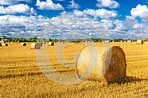 Stacks of straw - bales of hay, rolled into stacks