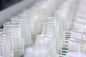Stacks of transparent plastic containers with lids on a conveyor belt. Industrial production of plastic food packaging
