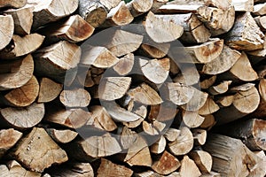 Stacks of wood logs