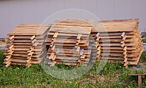 Stacks of wooden snail boards for Edible snails