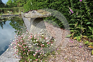Staddle Stone By the Pond At Cothay Manor, Somerset, UK