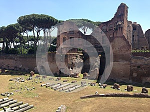 Stadio Palatino at the Roman Forum