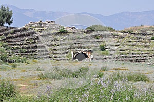 The Stadium, Aphrodisias Archaeological Site, AydÄ±n Province, Turkey