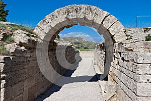 The Stadium of Olympia