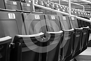 Stadium Seats