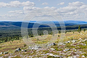 Stadjan, Sweden: Mountain summit in the Stadjan Nipfjallet nature reserve