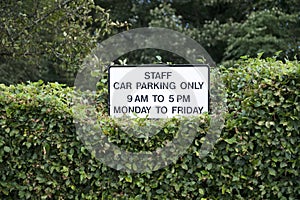 Staff car parking only sign at business car park in green hedge