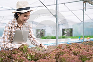 Staff or gardeners collect data and check the condition of the vegetables